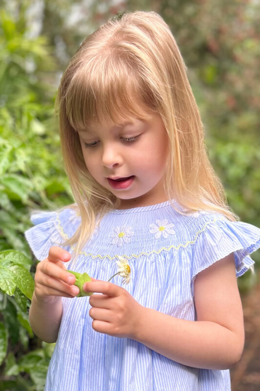 Daisy Hand Smocked Bishop Dress