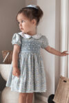 Blue Floral Ditsy Dress